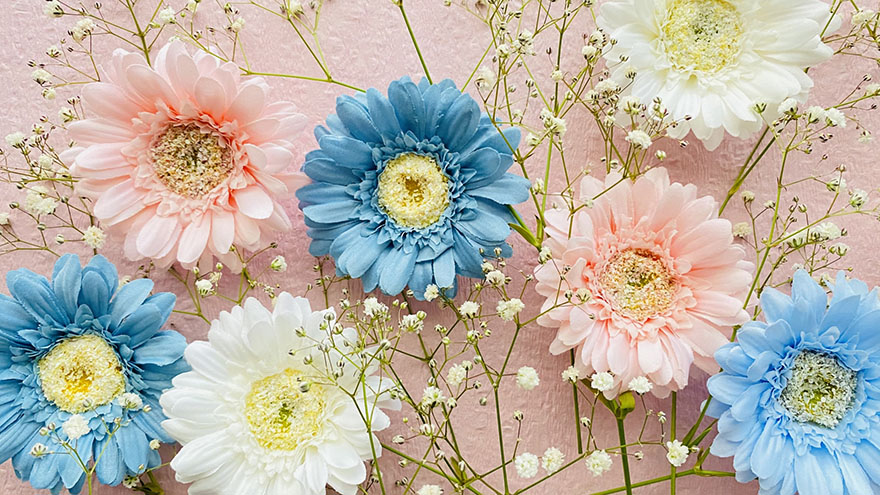 トップページイメージ・花